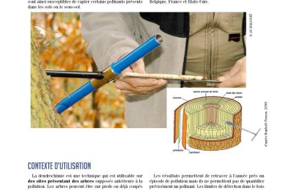 Couverture de la fiche technique innovante Dendrochimie
