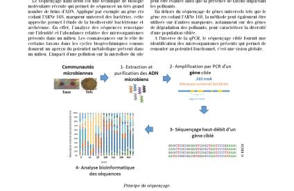 Couverture de la fiche technique innovante Séquençage