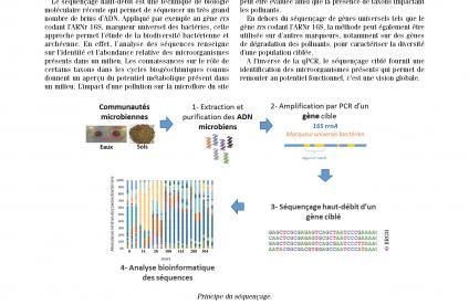 Couverture de la fiche technique innovante Séquençage
