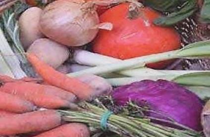 Image extaite de la couverture de la notice d'utilisation de BAPPOP