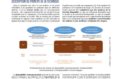 Couverture de la fiche technique innovante Disponibilité environnementale, biodisponibilité environnementale et biodisponibilité écotoxicologique