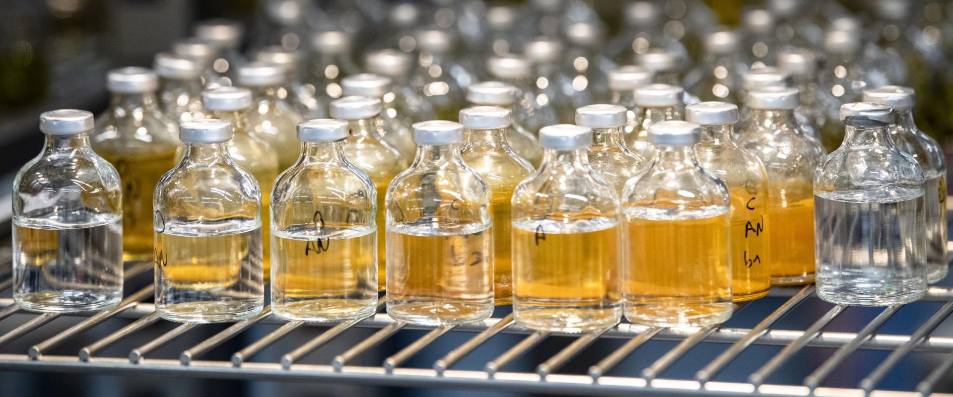 Photographie des essais de traitabilité des PFAS (perfluoroalkylées et polyfluoroalkylées) à la halle pilote expérimentale du BRGM (Orléans, 2022).